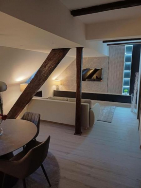 Apartman Ena Radićeva